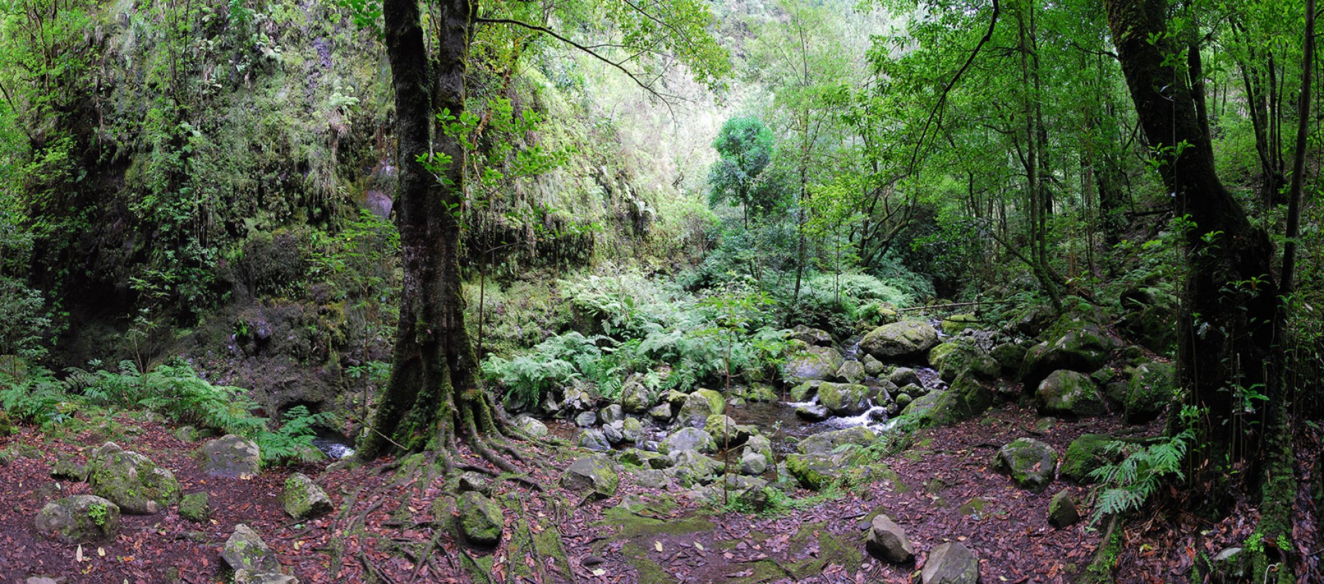 Levada do Rei (PR 18)