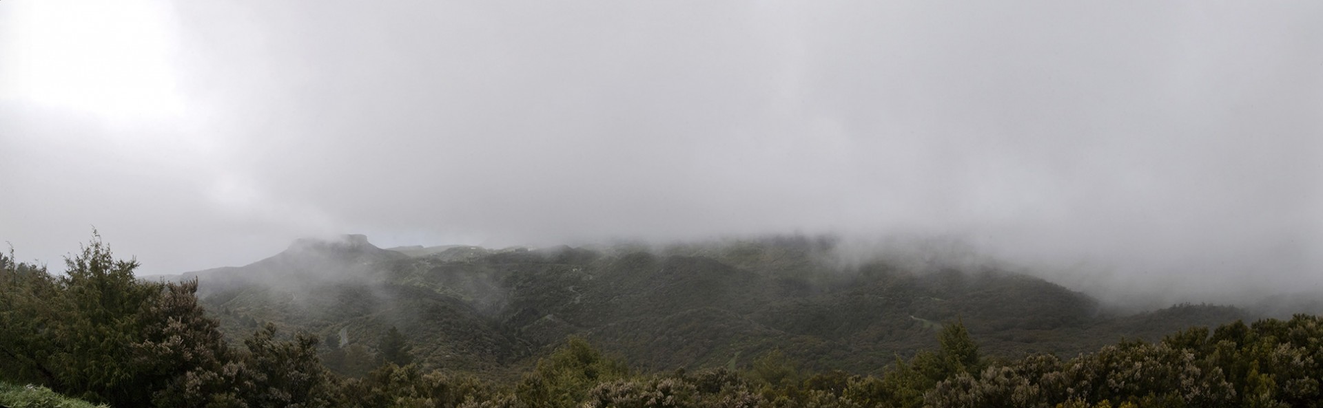 View from Alto de Garajonay