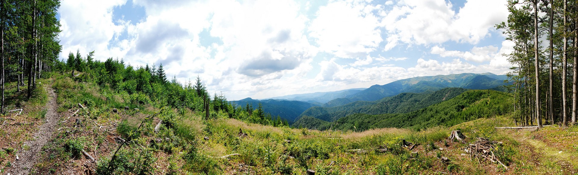 Blick auf den Nationalpark Niedere Tatra