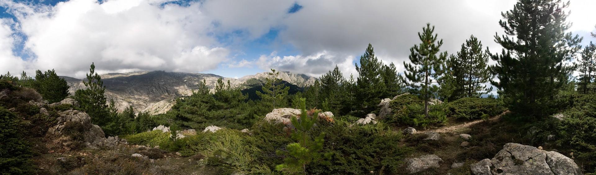 Near Monte Sant'Eliseos peak