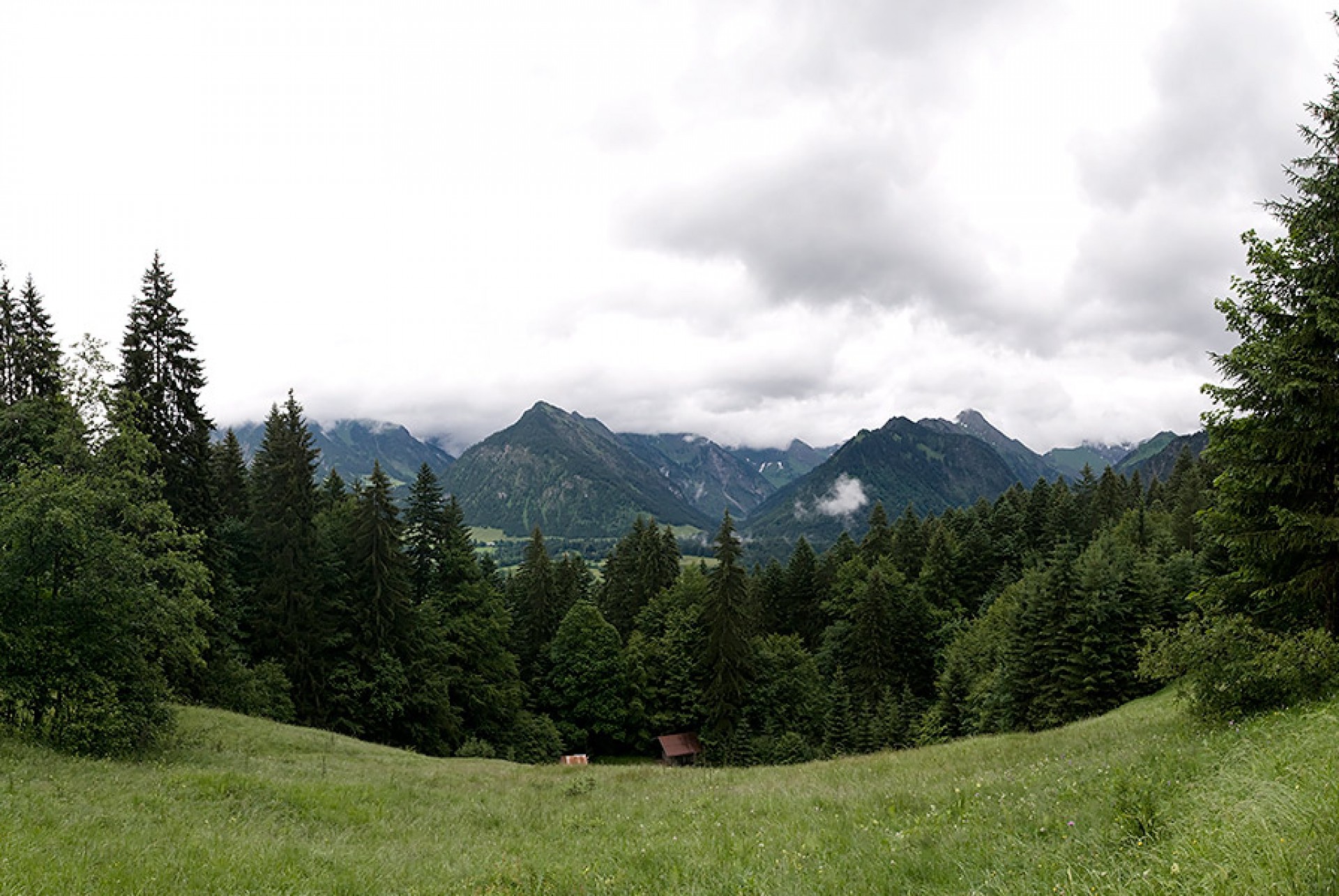 Blick auf die Allgäuer Hochalpen